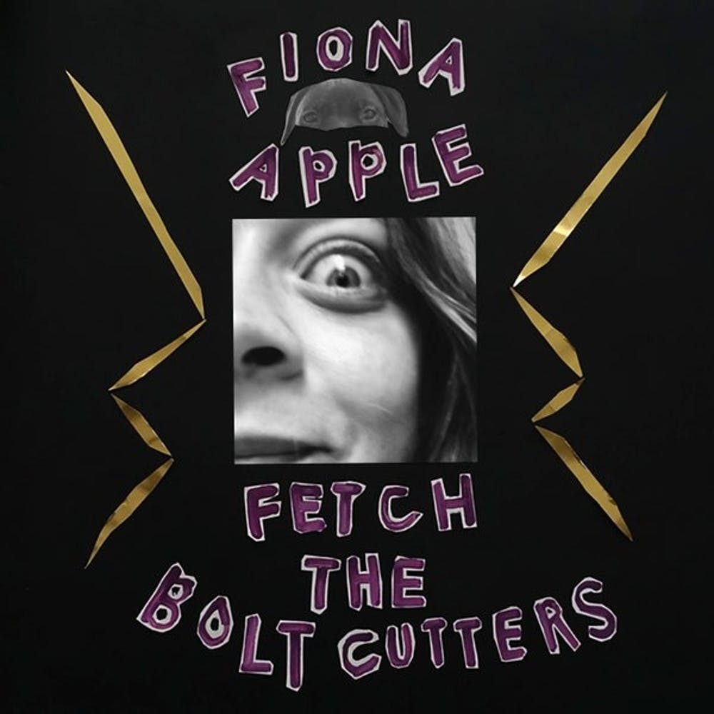 Fionna Apple Album Artwork